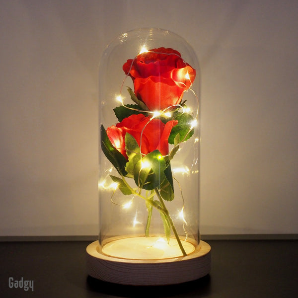 Gadgy Roos in bell jar with LED